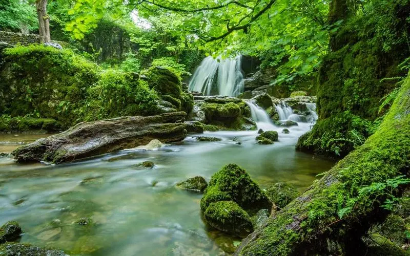 高端智能系统高标准